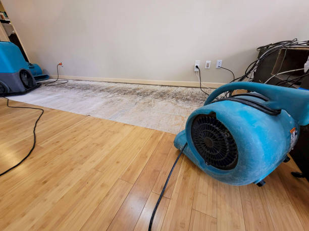 Professional Basement Flood Cleanup technician working in Glen Jean, WV